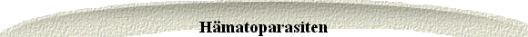 Hämatoparasiten